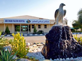 Abu-Dhabi-Falcon-Hospital-1